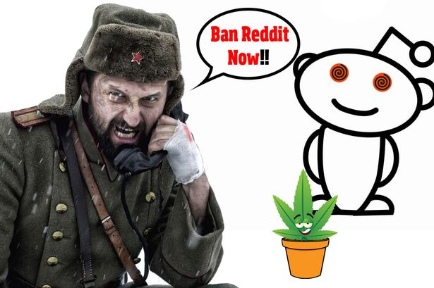 Россия угрожает запретить Reddit, из за раздела о выращивании своего собственного WEED